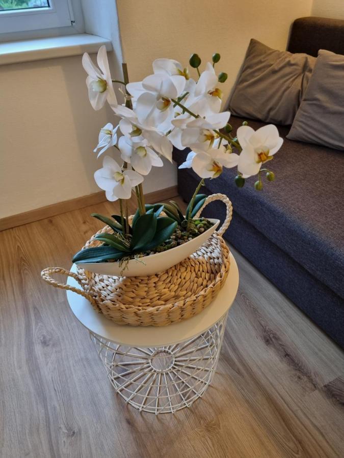 Apartment Seebachhof Edlbach エクステリア 写真